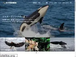 Sites similar to c-ohwashi.com