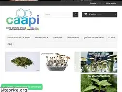 Sites similar to caapi.co