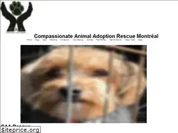 Sites similar to caarescue.com