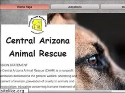 Sites similar to caaronline.org