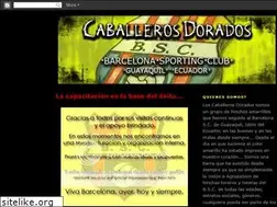 Sites similar to caballerosdoradosdelbarce.blogspot.com