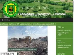 Sites similar to cabanatuancity.gov.ph