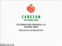 Sites similar to cabesan.es
