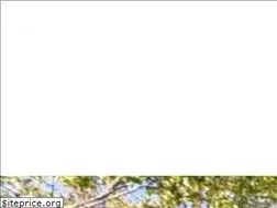 Sites similar to cabinswithaview.net
