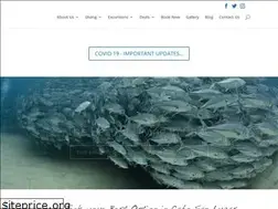 Sites similar to cabodivetrek.com