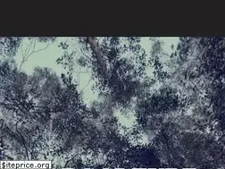 Sites similar to caboolturetreeremoval.com