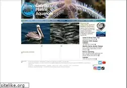 Sites similar to cabrillomarineaquarium.org