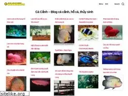 Sites similar to cacanh.vn