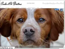 Sites similar to cachedorbretons.com