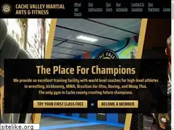 Sites similar to cachevalleymartialarts.com