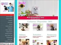 Sites similar to cachorrosenventamexico.com