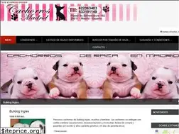 Sites similar to cachorrosmadrid.com