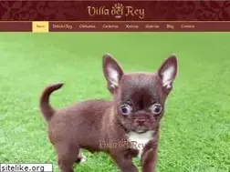 Sites similar to cachorrosyorkshirechihuahuas.com