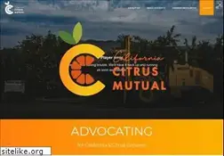Sites similar to cacitrusmutual.com