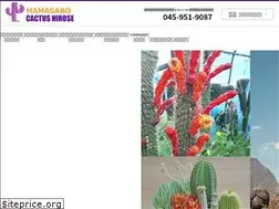 Sites similar to cactus-hirose.co.jp