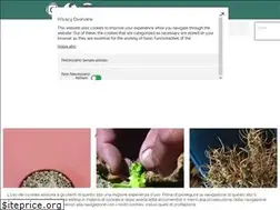 Sites similar to cactusmania.it
