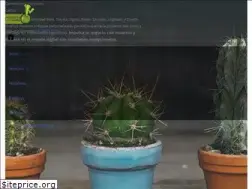 Sites similar to cactuz.com.mx