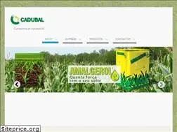 Sites similar to cadubal.com