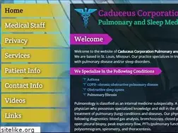 Sites similar to caduceuscorporation.com