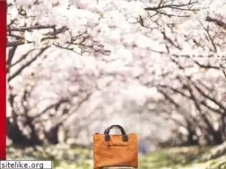 Sites similar to caede-kyoto.com