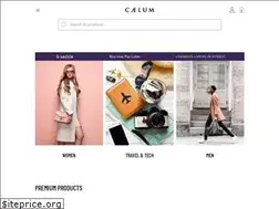 Sites similar to caelum.in