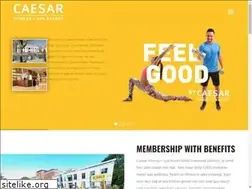 Sites similar to caesar-denhaag.nl