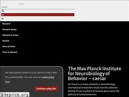 Sites similar to caesar.de