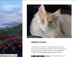 Sites similar to caesarheadcoon.com
