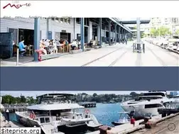 Sites similar to cafemorso.com.au