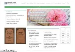 Sites similar to caferilik.com