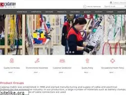 Sites similar to cagataykablo.com