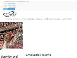 Sites similar to cagbeyhaliyikama.com