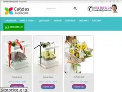 Sites similar to cagdascicekcilik.com.tr
