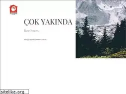 Sites similar to cagdasyonetim.com.tr