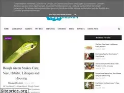 Sites similar to cageheaven.com