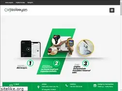 Sites similar to cagizo.com