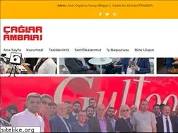 Sites similar to caglarambalaj.com