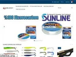 Sites similar to caglarav.com