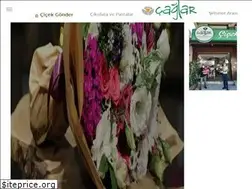 Sites similar to caglarcicek.com.tr