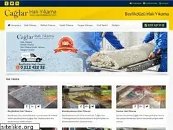 Sites similar to caglarhaliyikama.com
