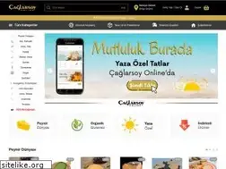 Sites similar to caglarsoy.com