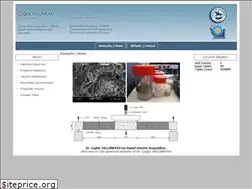 Sites similar to caglaryalcinkaya.com