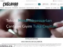 Sites similar to caglayanaksesuar.com