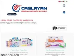 Sites similar to caglayanambalaj.com.tr