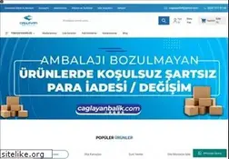 Sites similar to caglayanbalik.com