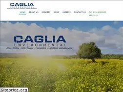 Sites similar to cagliaenvironmental.com