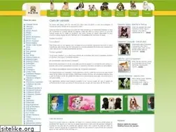 Sites similar to caini-de-vanzare.ro
