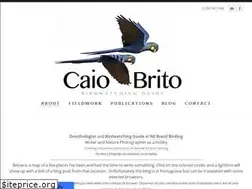 Sites similar to caiobrito.com