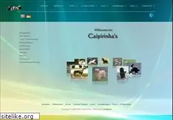 Sites similar to caipirinhas.eu
