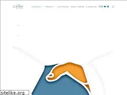 Sites similar to caireinc.com